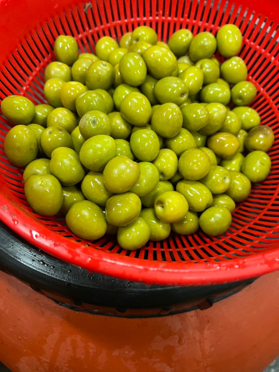 Kalinjot Olives